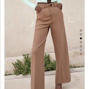 NWT Zara pants